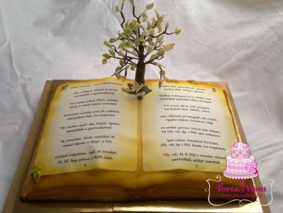 Könyv torta