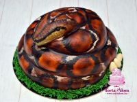 Kígyó torta