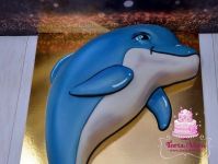 Delfin formatorta