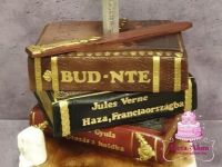 BUD-NTE járat indtó ünnepi tortája Verne Gyula tematikára építve